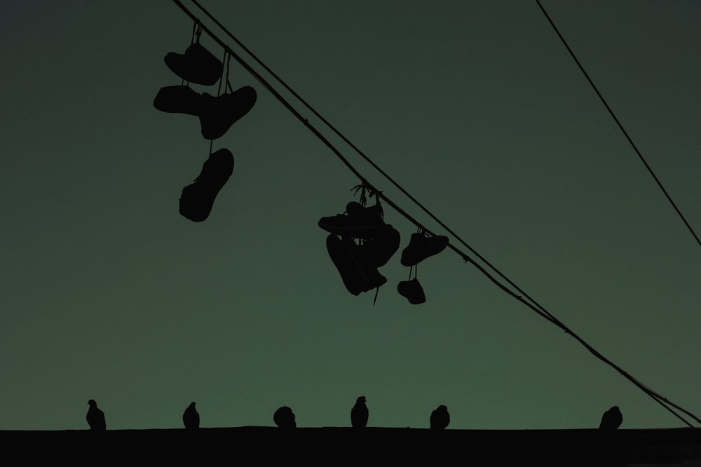 Photograph by Илья Кропин