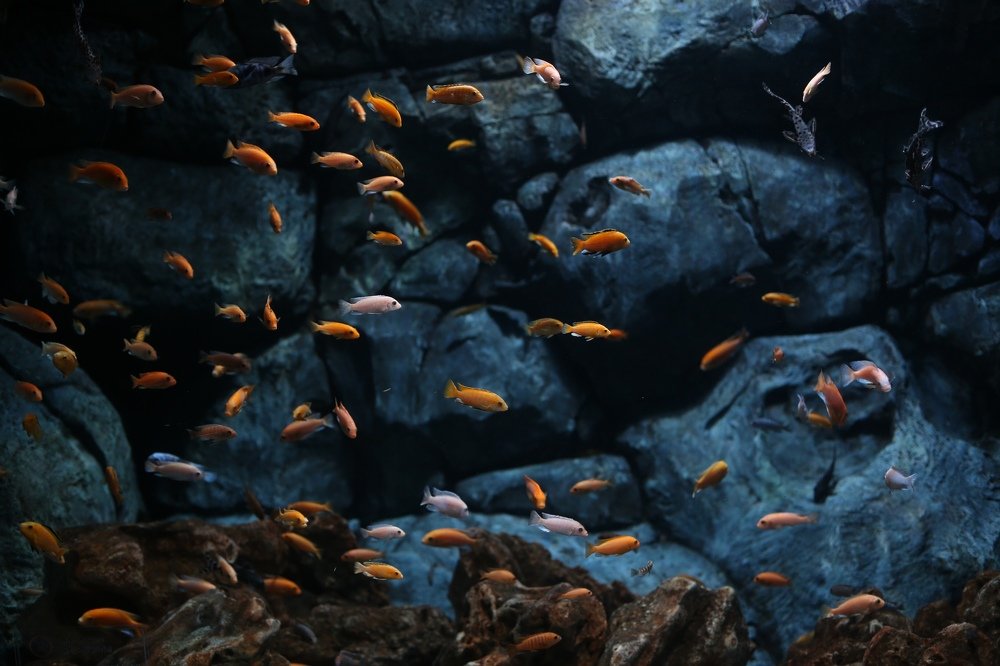 Photograph by Svetlana Shadenkova