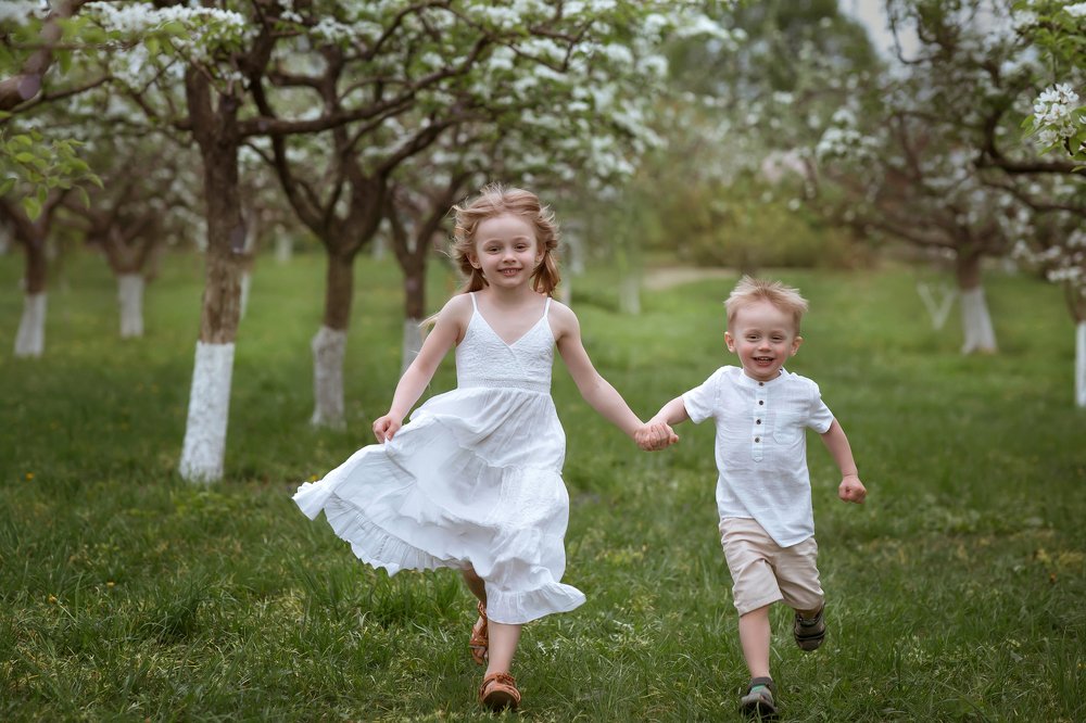 Яблоневый сад.