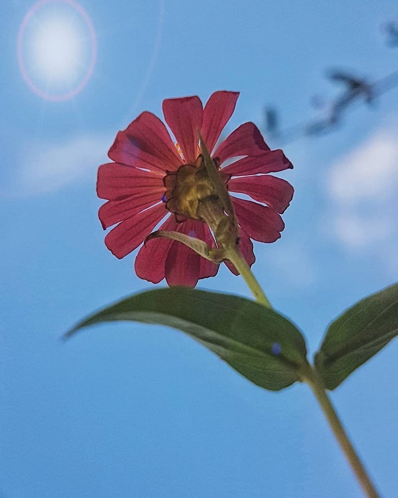 Photograph by Iin Fortunata Angelina