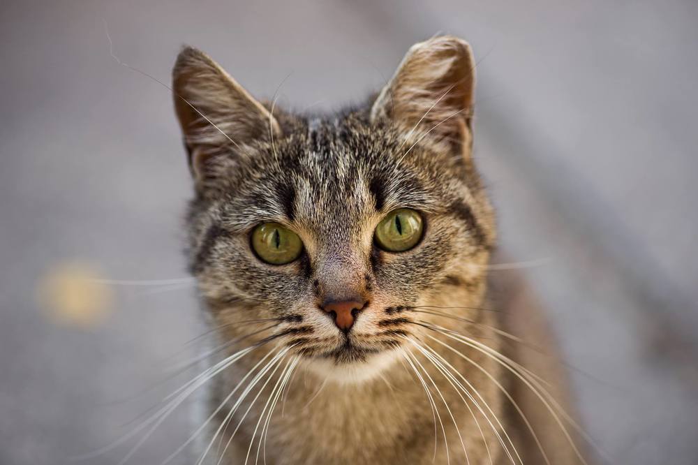 Photograph by Игорь Архипов