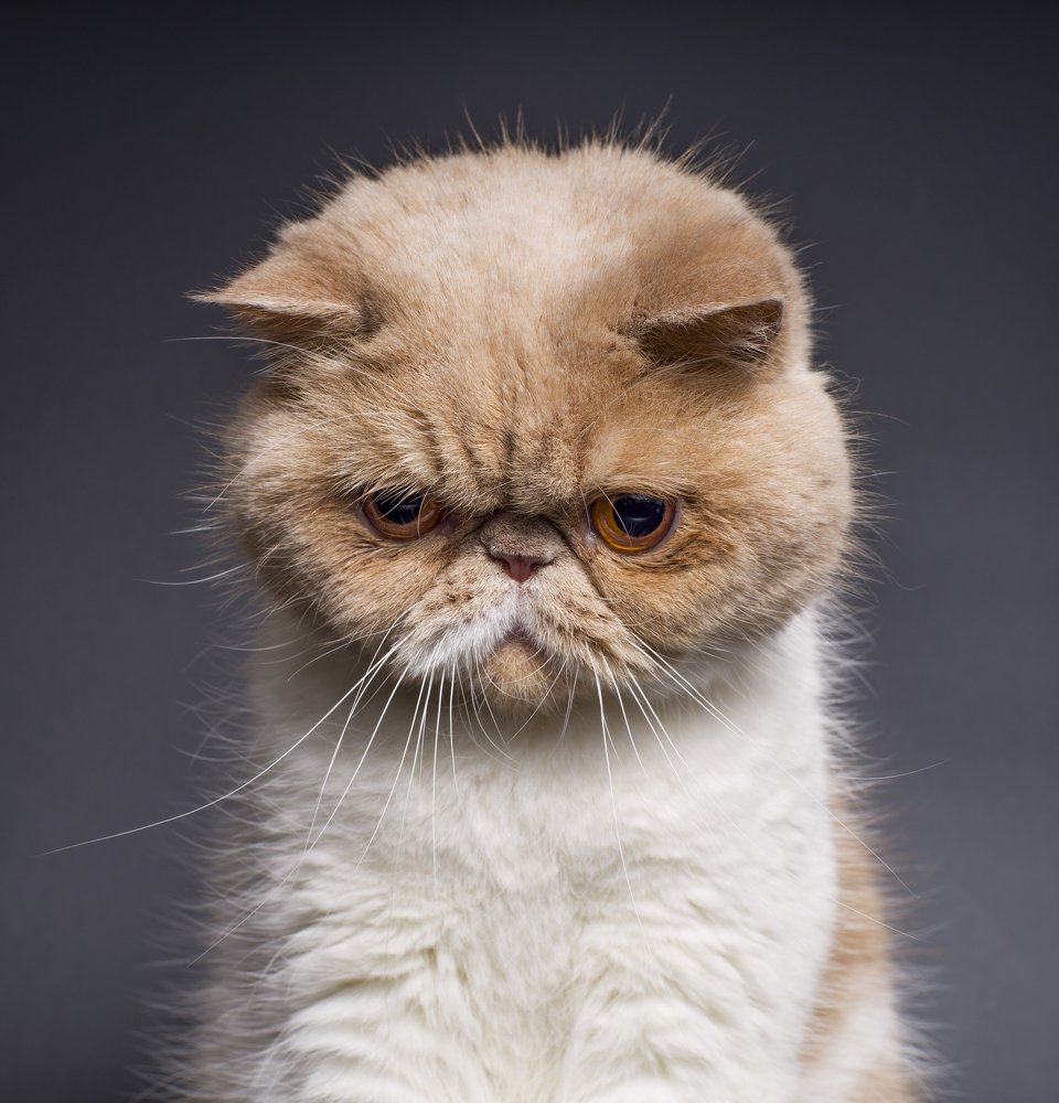 Photograph by Игорь Архипов