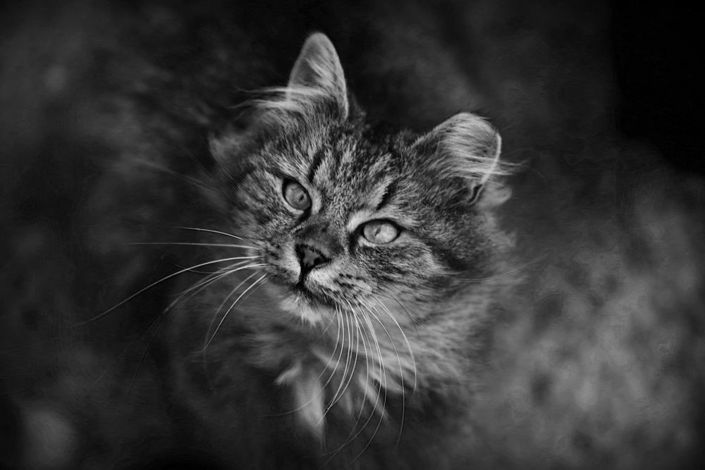 Photograph by Игорь Архипов