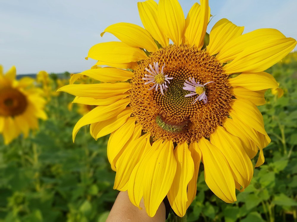 Photograph by Варвара Трунина