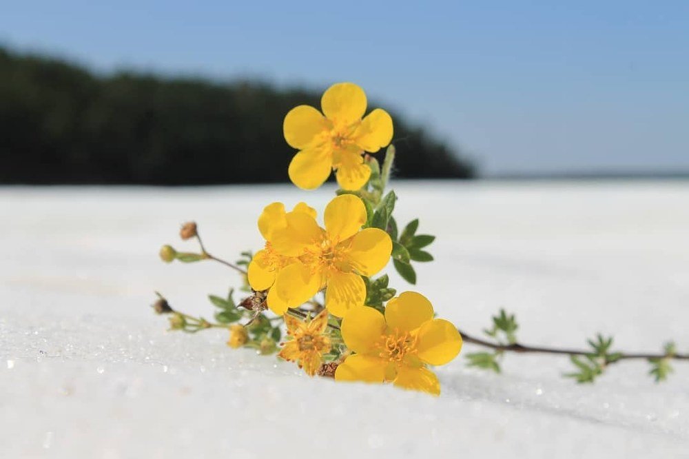 Лето и зима