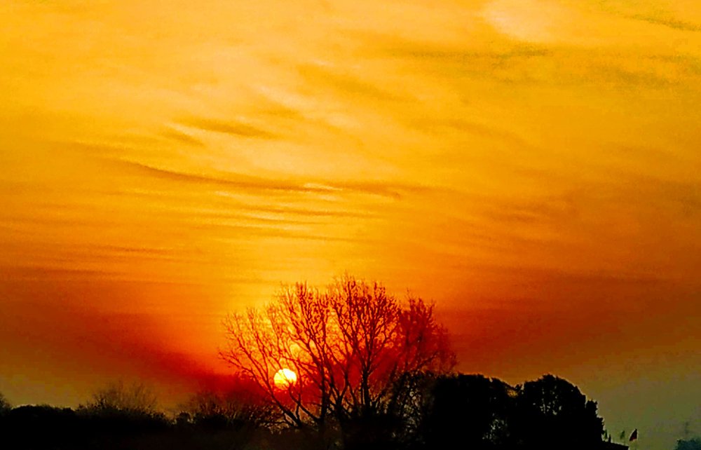 Photograph by Monica Macri