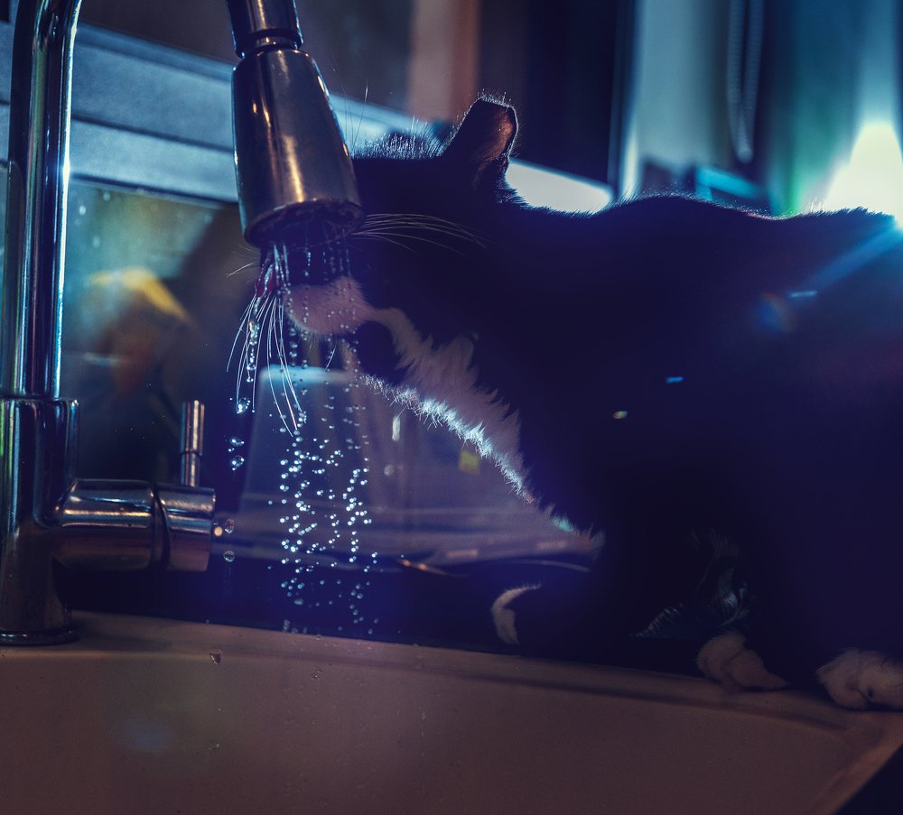 Photograph by Alina Gurfinkel