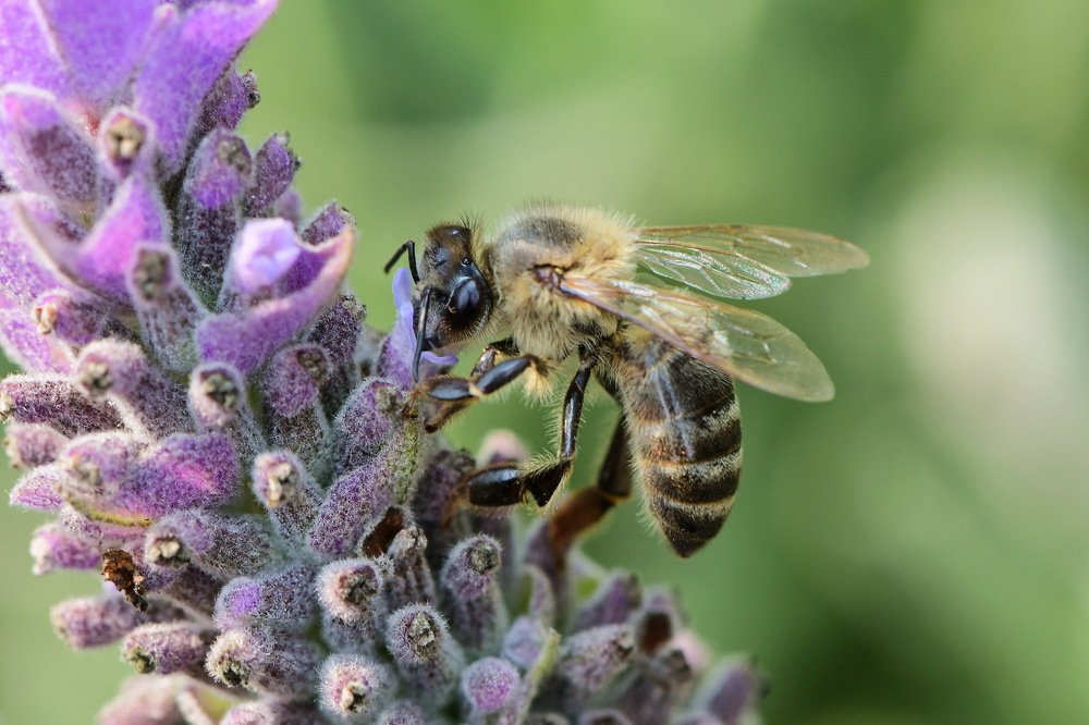 Photograph by Moura Denis