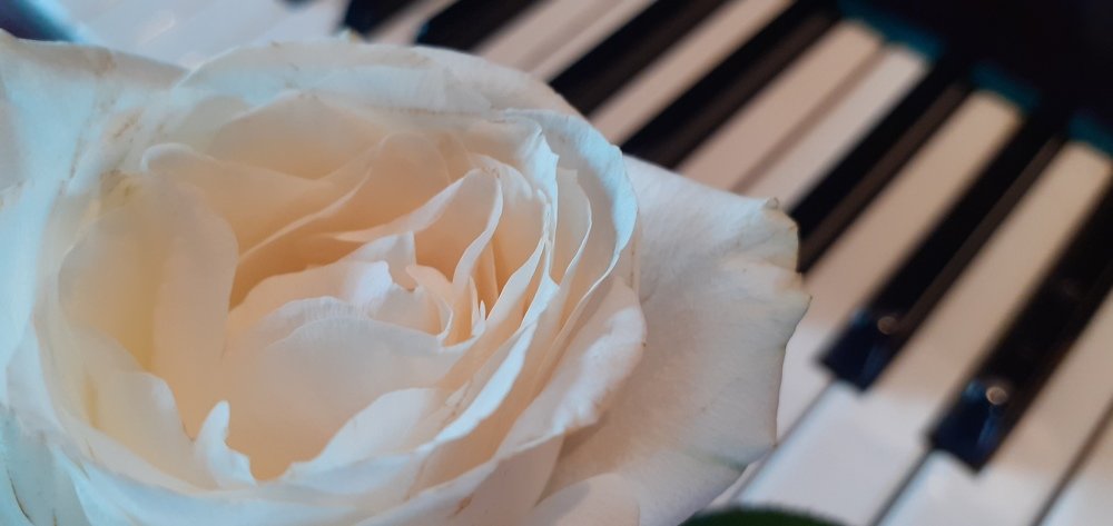 Photograph by Любовь Макарова