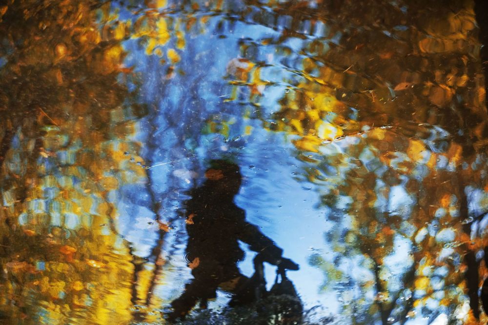 Photograph by Ирина Шильнова