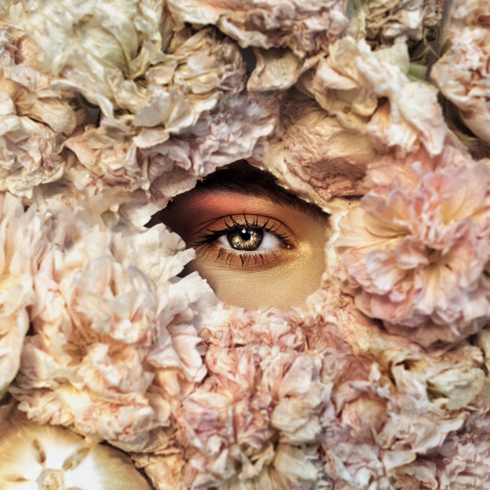 Photograph by Marko Nadj