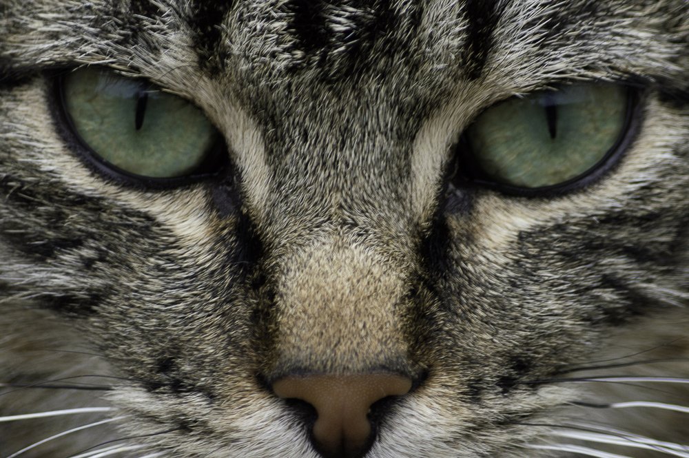 Photograph by Andrius La Rotta