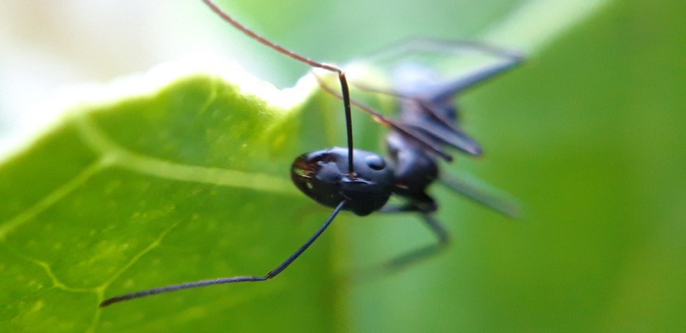 Photograph by Mahto Baleshwar