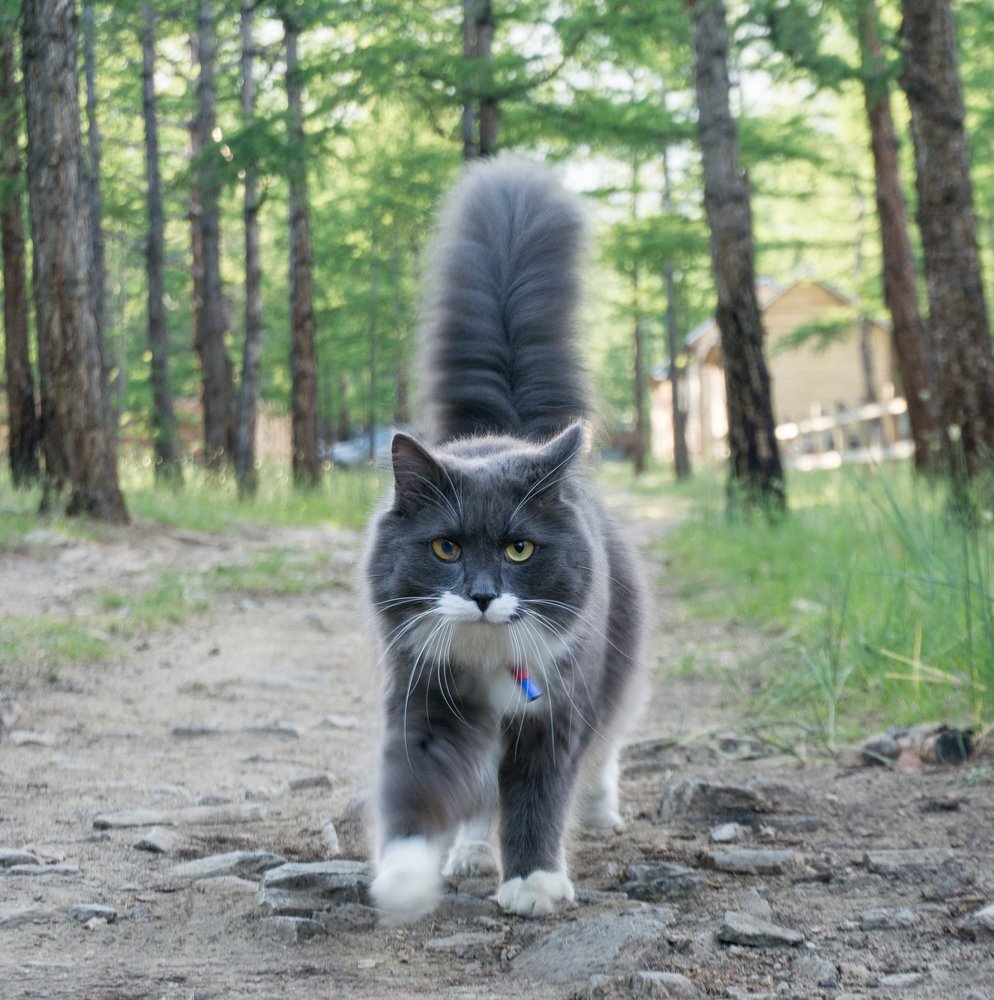 Photograph by Елена Григорьева