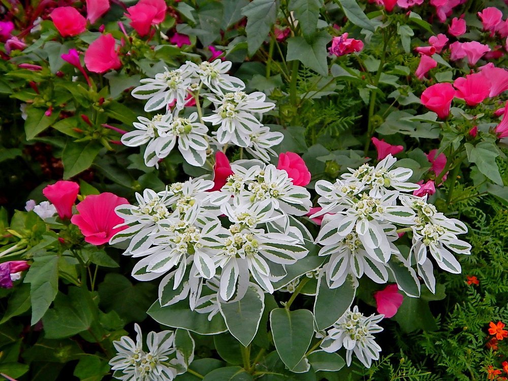 Photograph by Татьяна