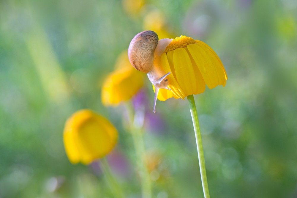 Photograph by Людмила Бекман