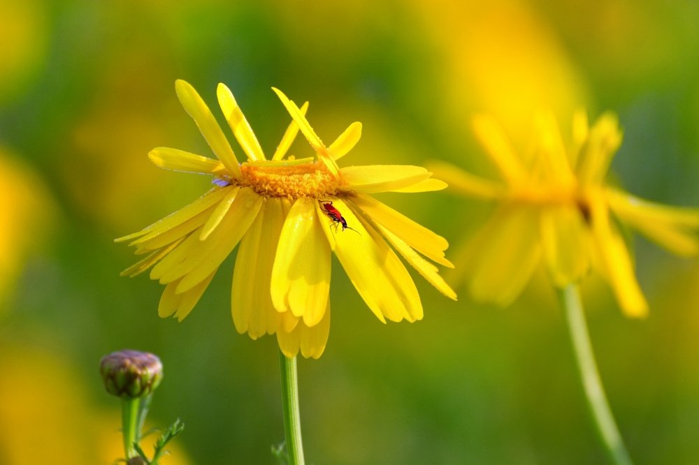 Photograph by Людмила Бекман