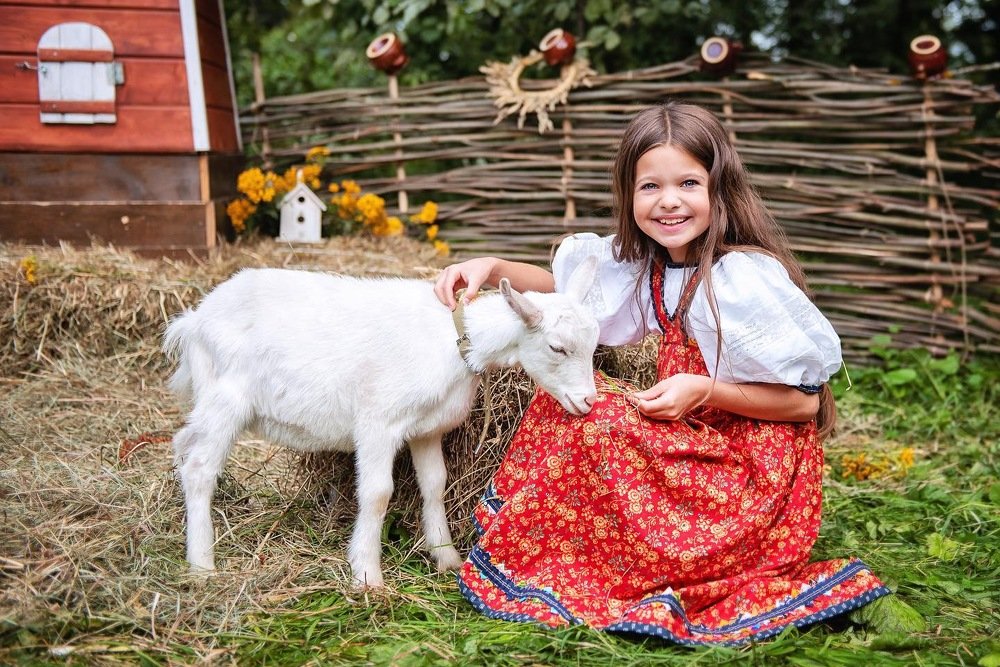 Коза дереза