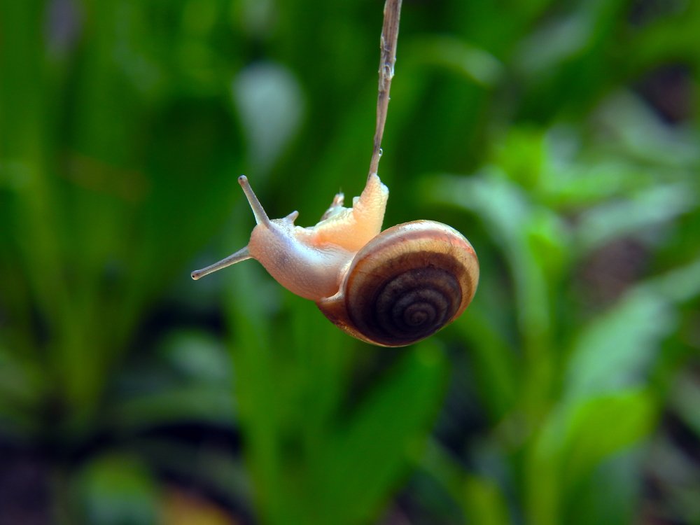 Photograph by Сергей Шипулин