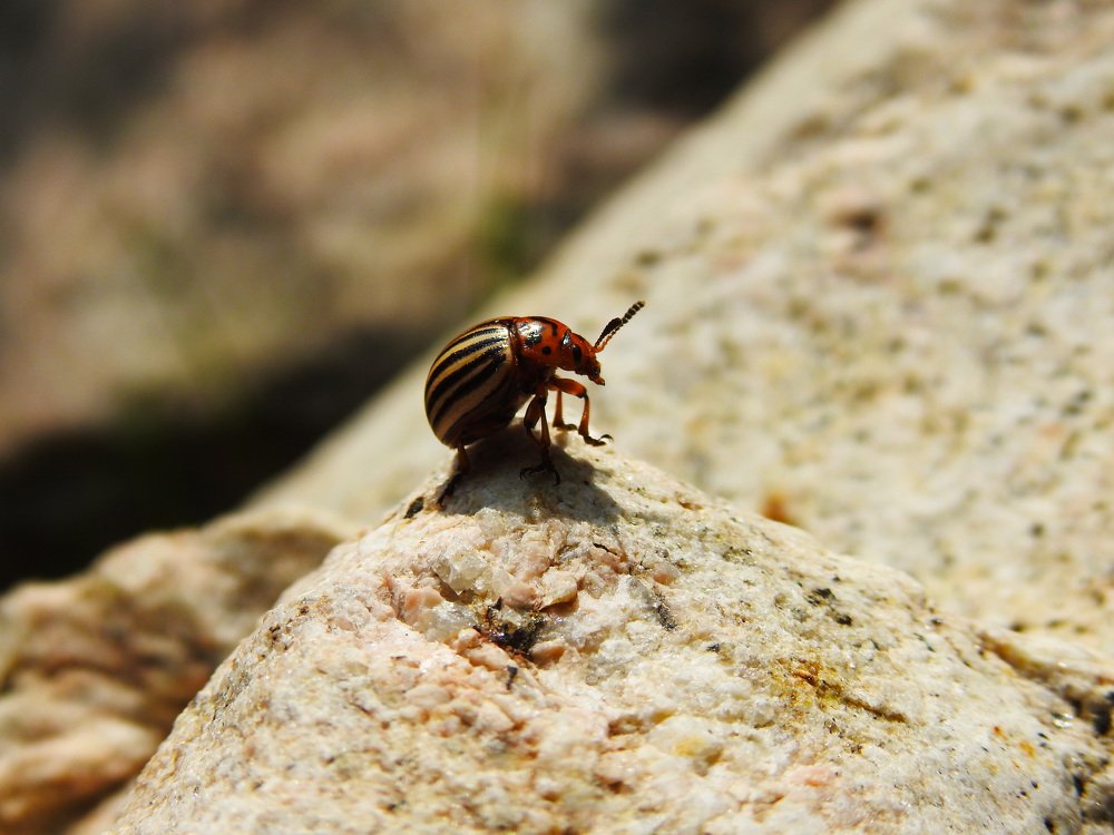 Photograph by Сергей Шипулин