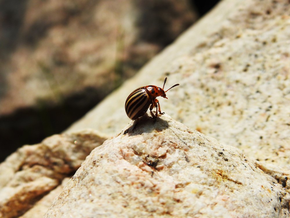 Photograph by Сергей Шипулин