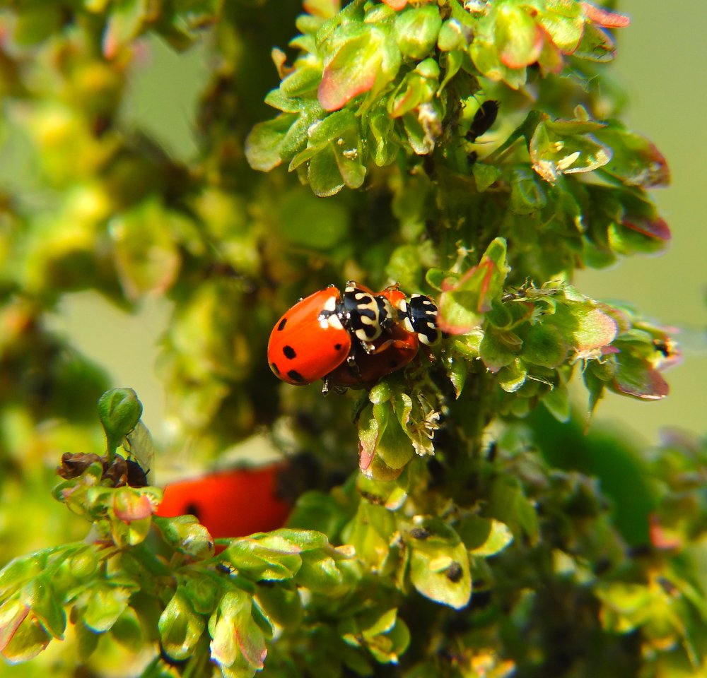 Photograph by Сергей Шипулин