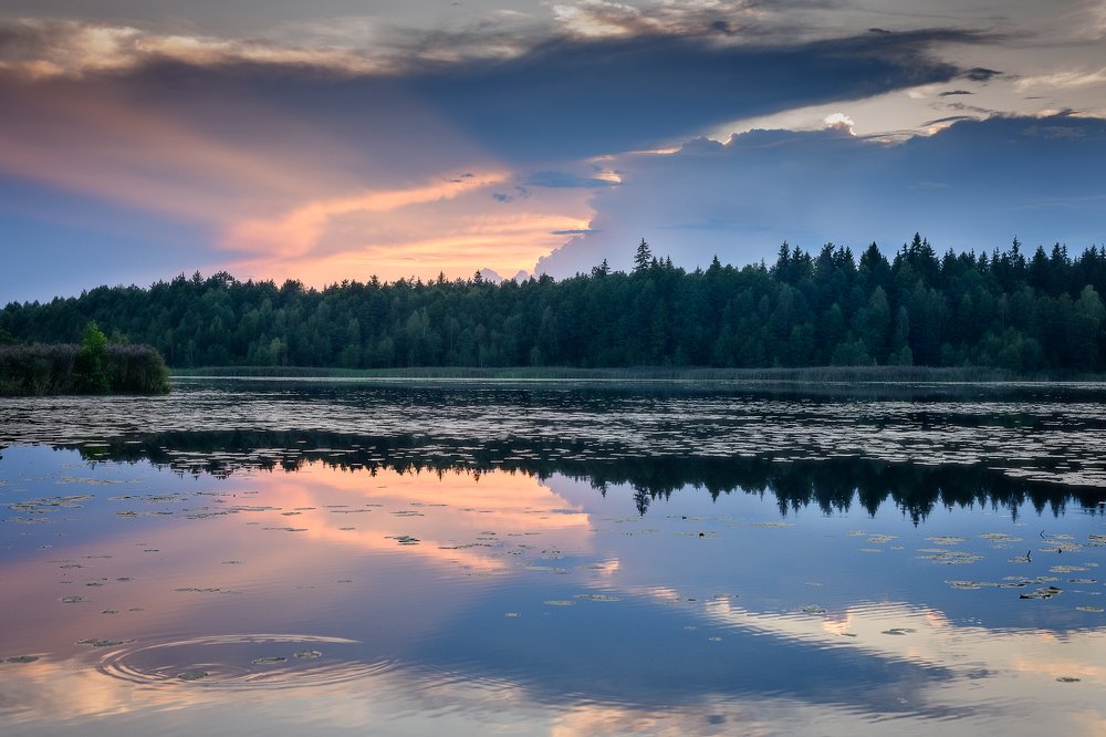 Photograph by Николай Герасимов