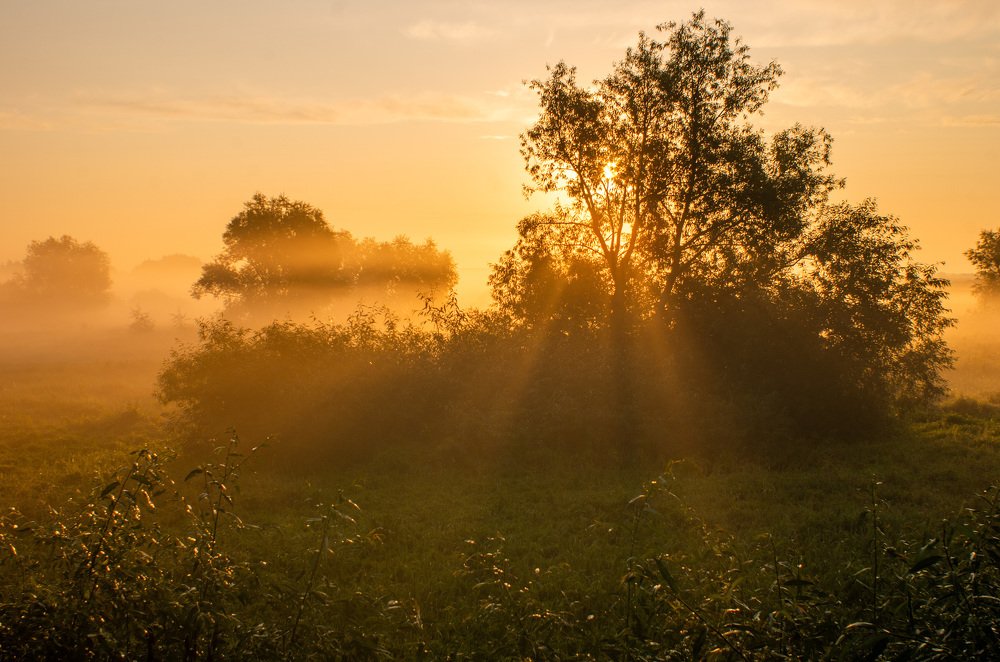 Photograph by Евгений Новицкий