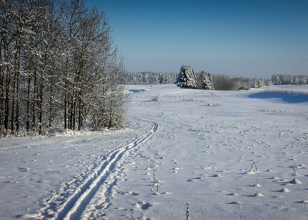 Photograph by Николай Герасимов