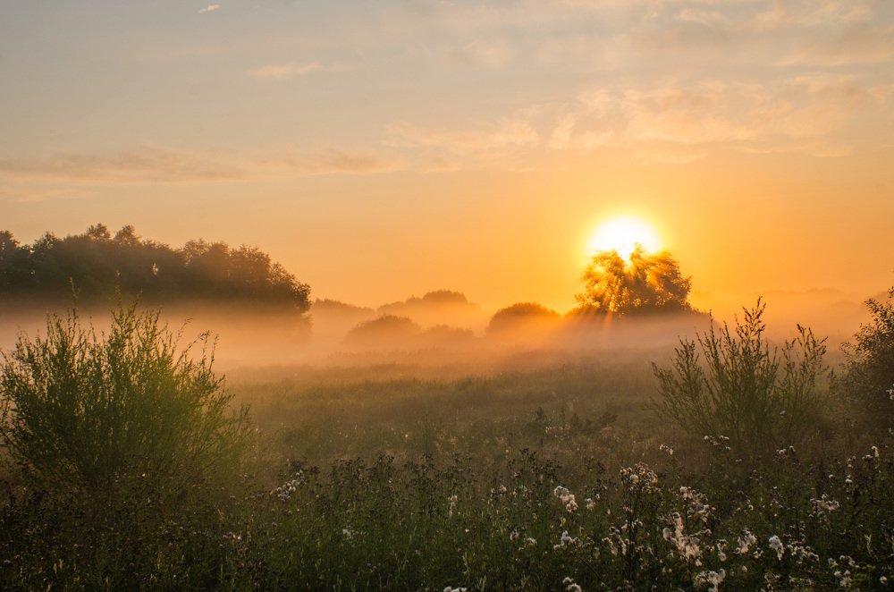 Photograph by Евгений Новицкий
