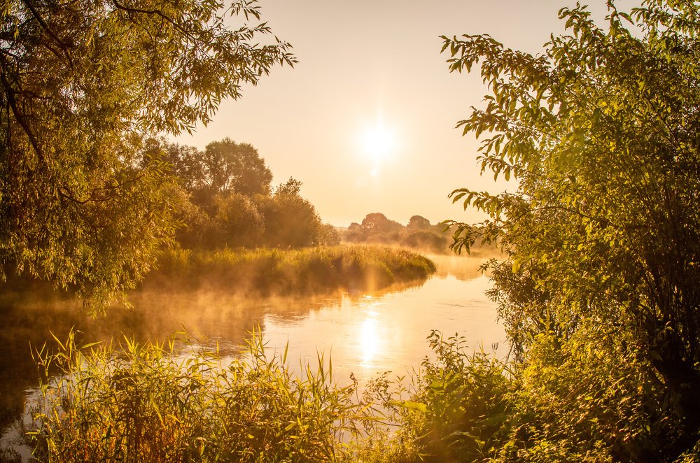 Photograph by Евгений Новицкий