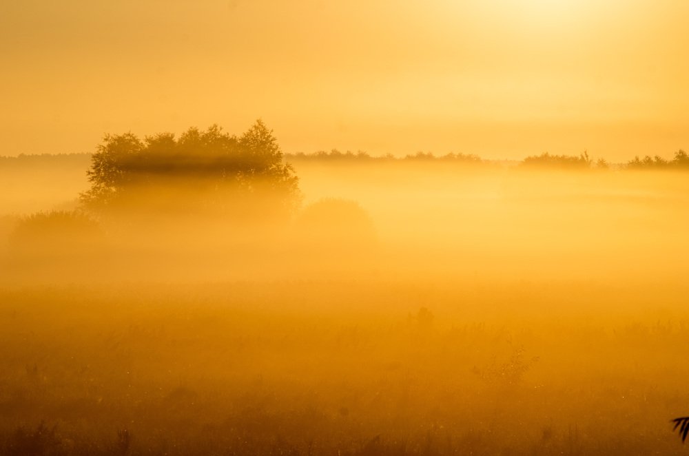 Photograph by Евгений Новицкий