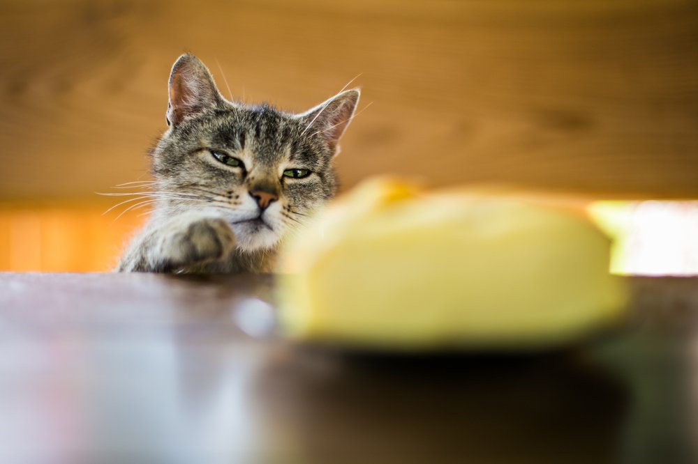 Photograph by Мария Пирович