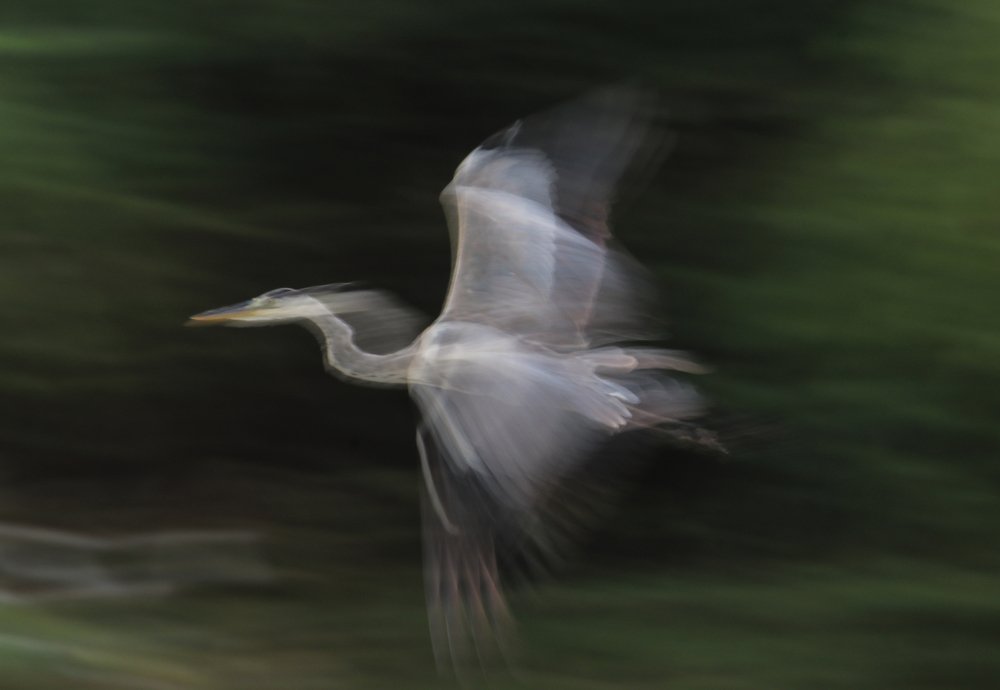 Photograph by Nirav Mehta