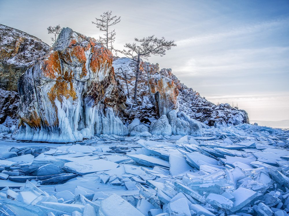 Photograph by Елена Григорьева