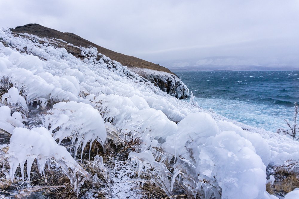 Photograph by Елена Григорьева