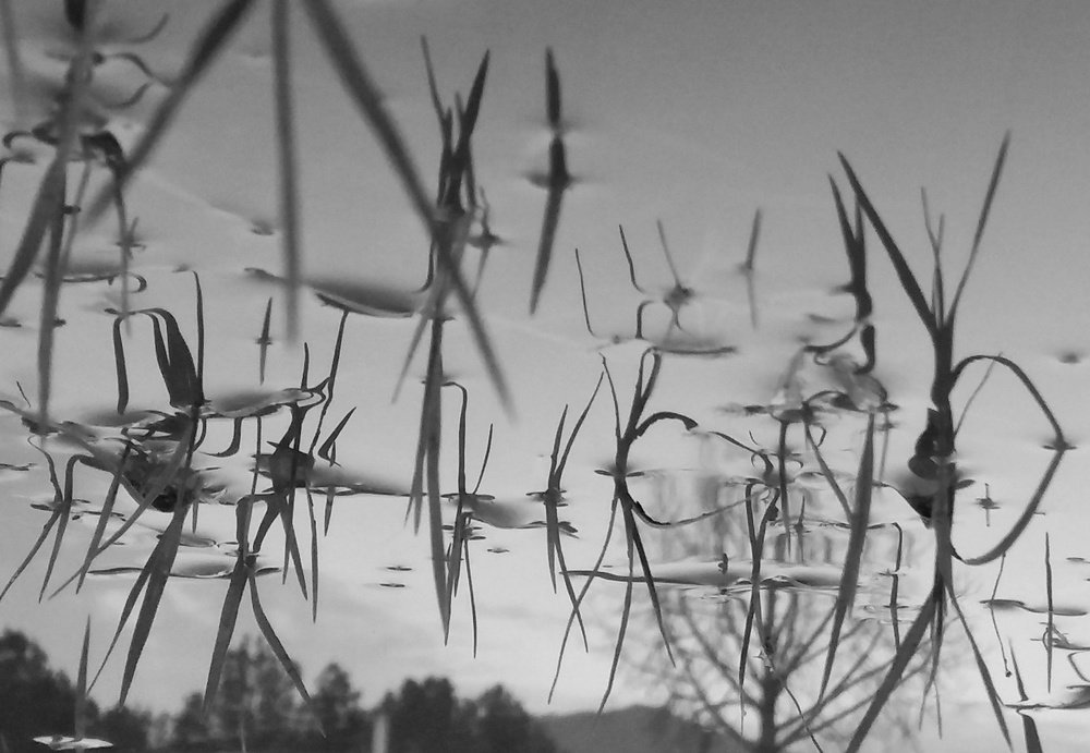 Photograph by Sadaf Saeed