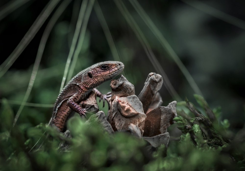 Photograph by Юлия Яремко