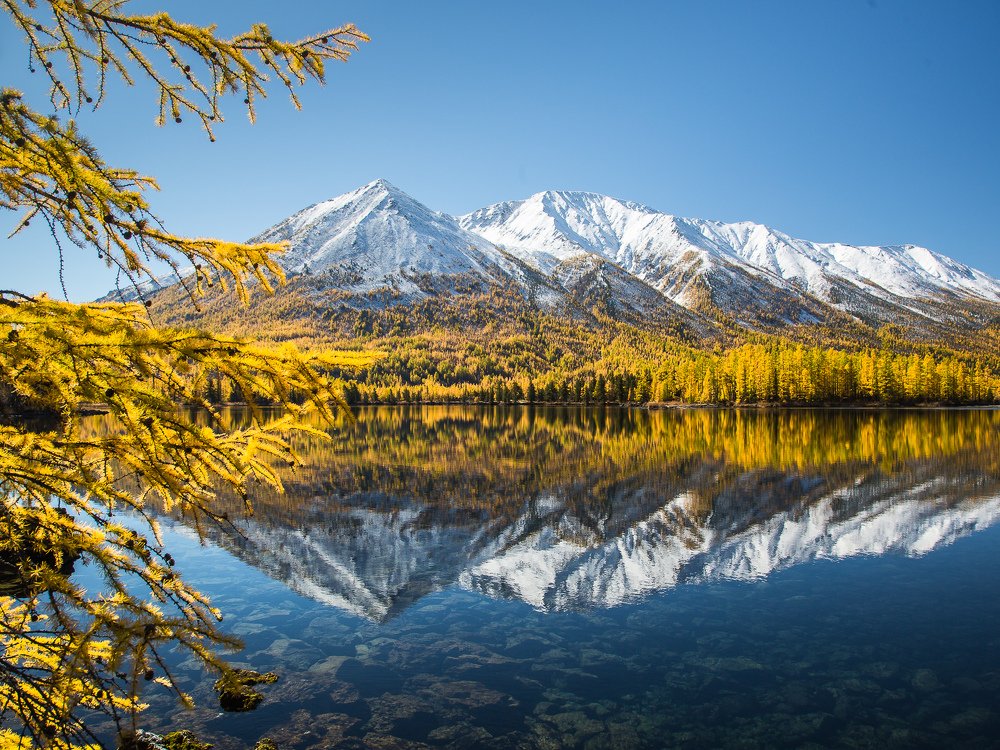 Photograph by Елена Григорьева