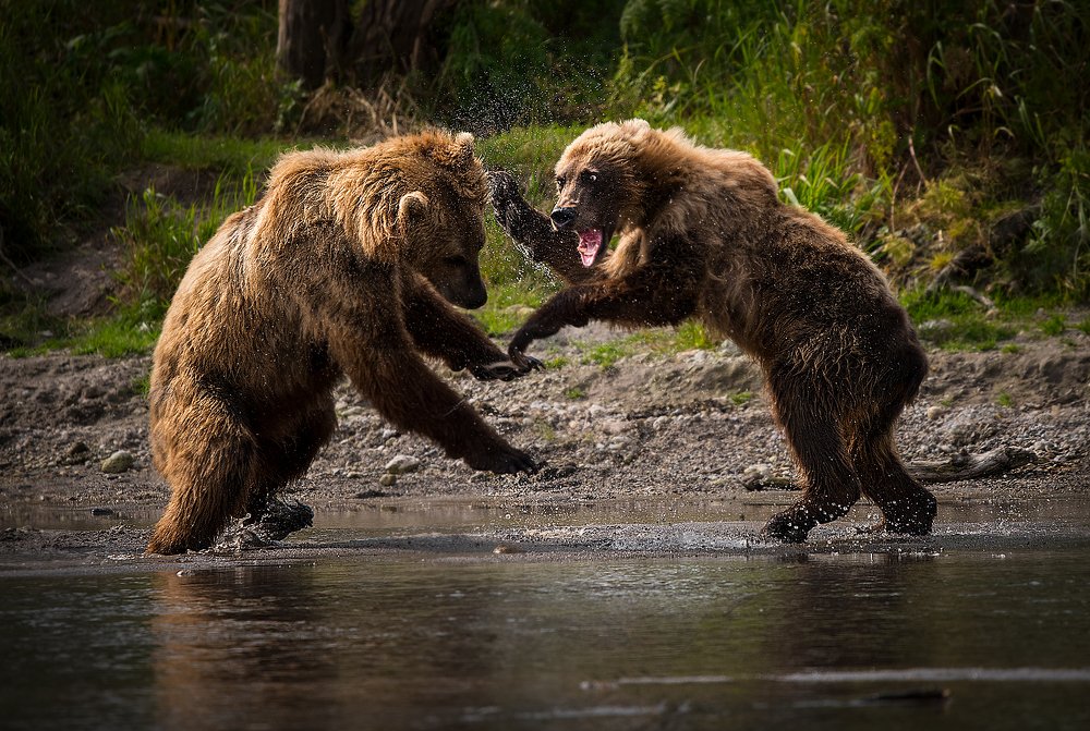 Photograph by Vladimir Kushnarev