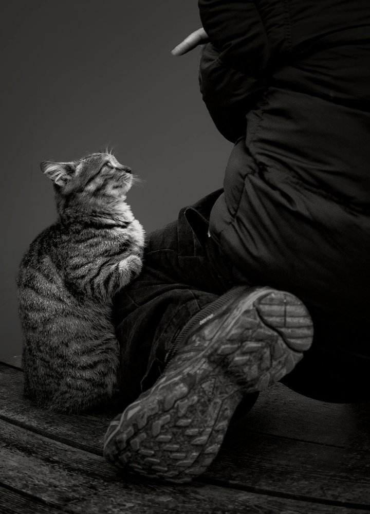 Photograph by Ramazan Yıldırım