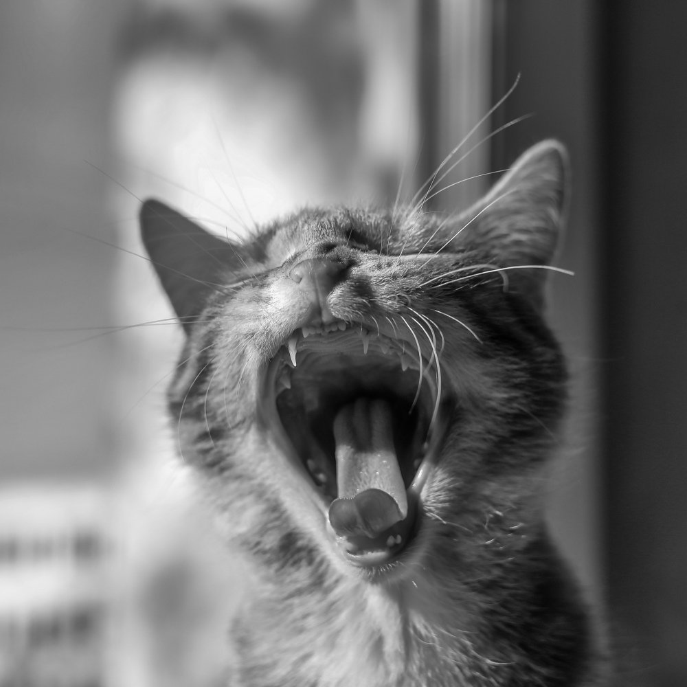 Photograph by Игорь Антипин