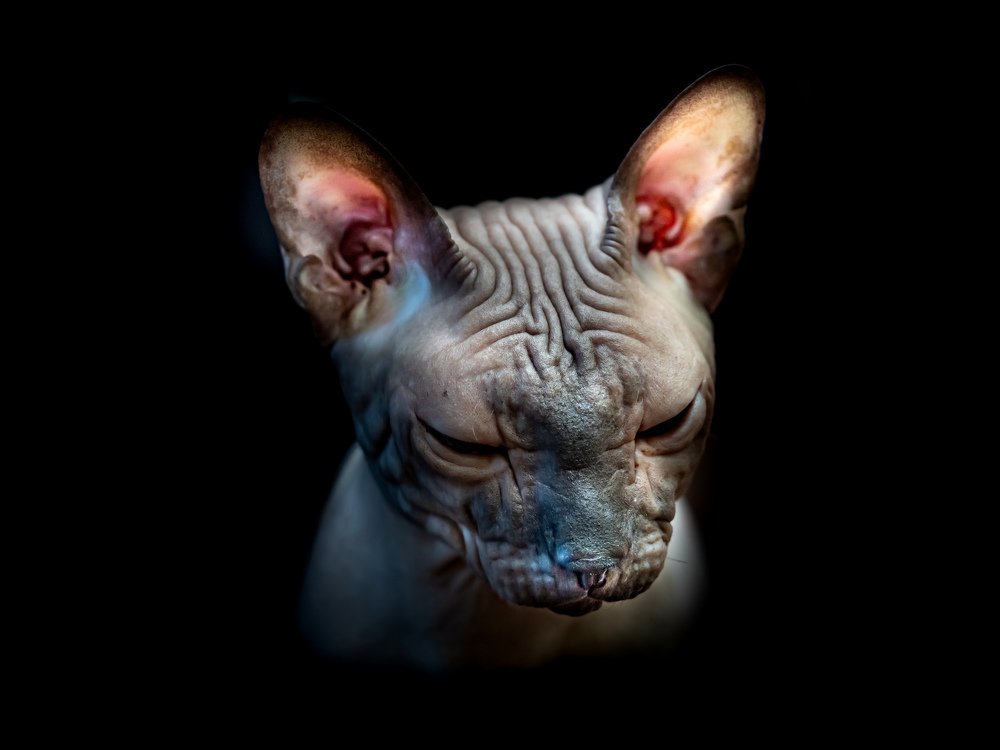 Photograph by Игорь Антипин