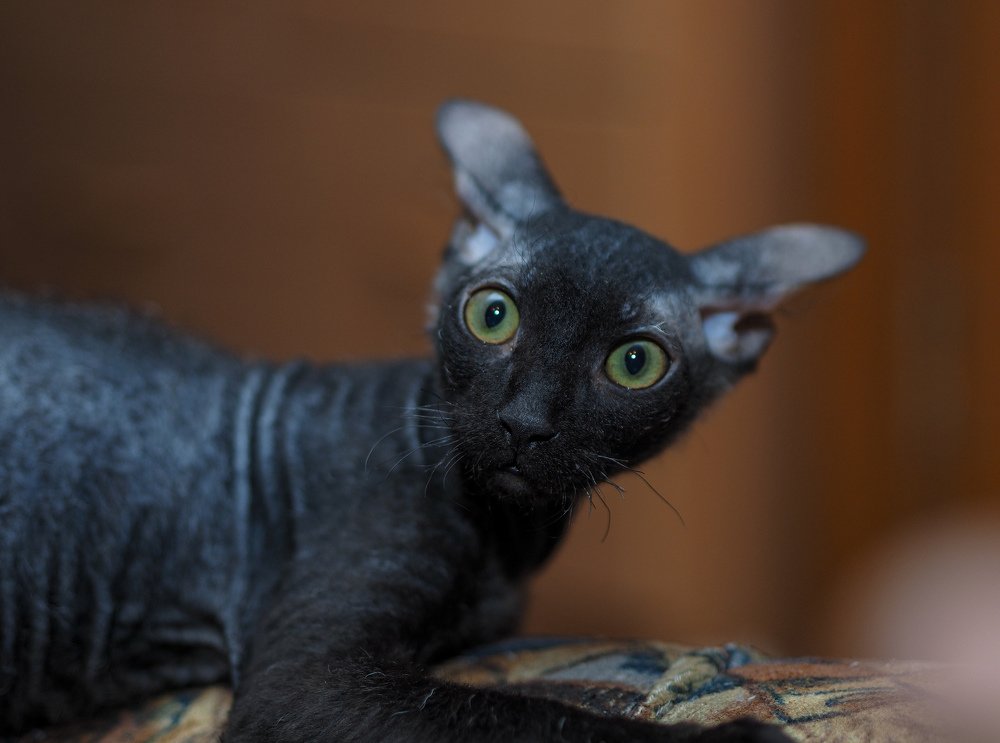 Photograph by Игорь Антипин