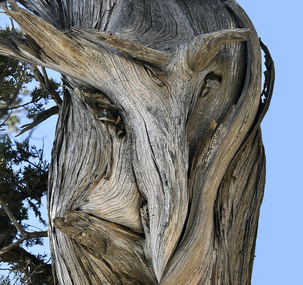 МЕФИСТОФЕЛЬ