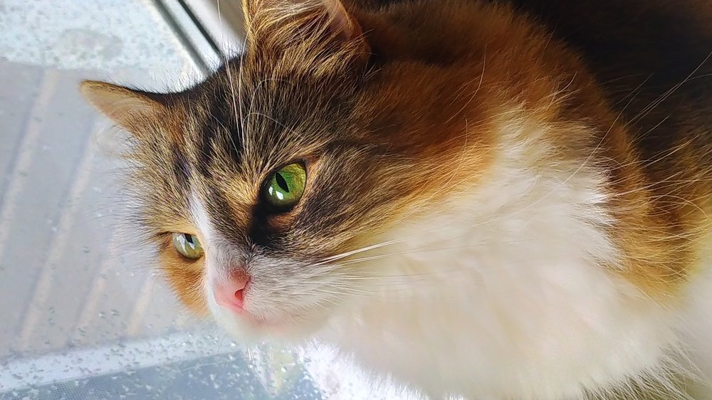 Photograph by Юлия Анисимова