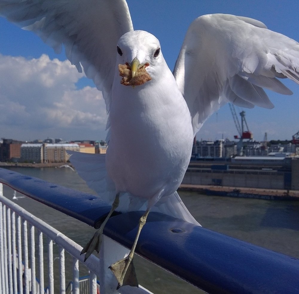 Photograph by Марина Хохрякова