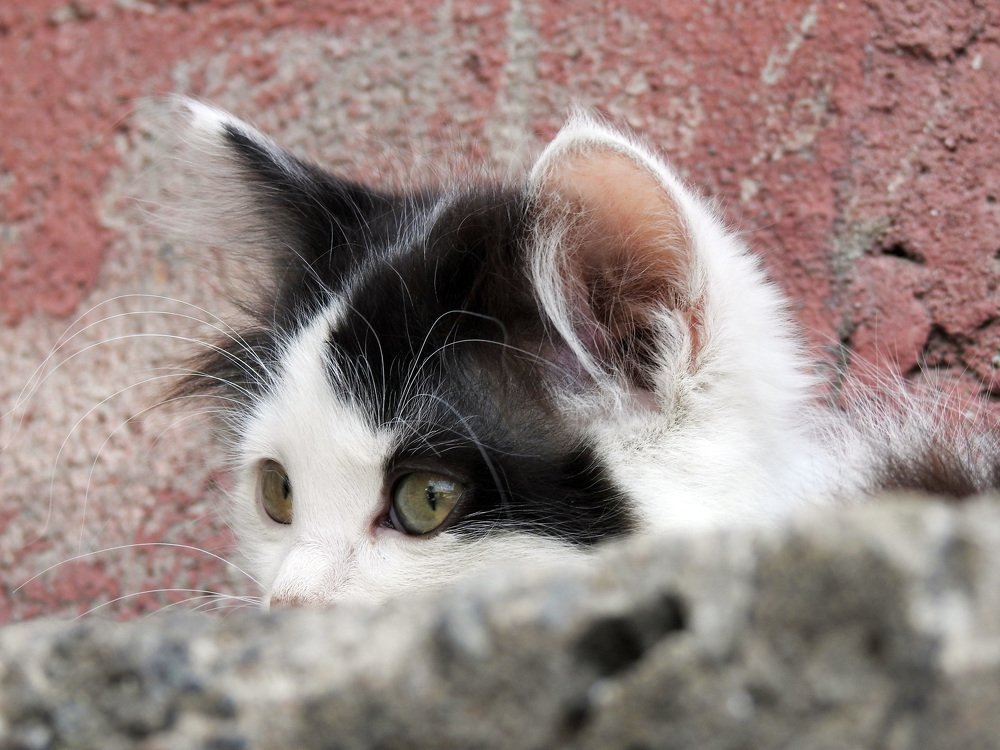 Photograph by Сергей Шипулин