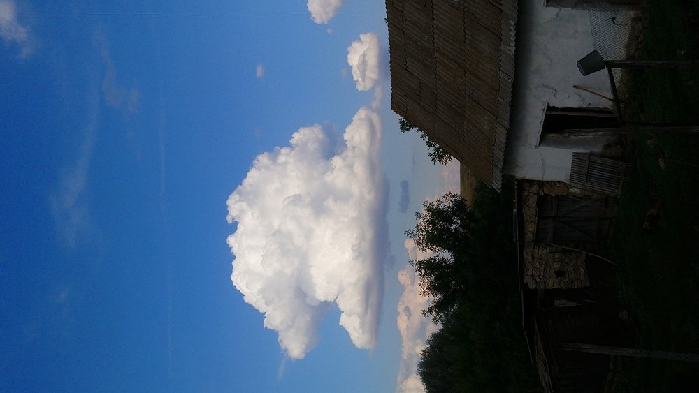 Photo #3519620