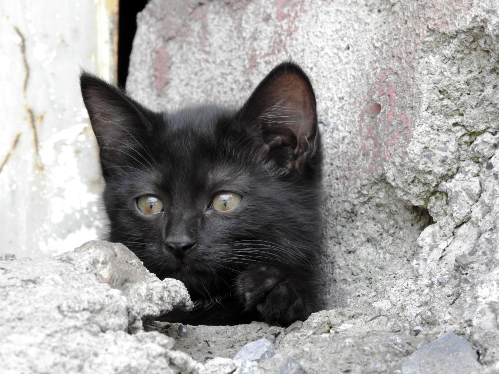 Photograph by Сергей Шипулин